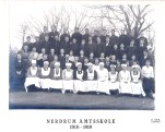Nerdrum amtsskole 1918-1919
