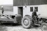Berging av kaniner under flommen i 1967