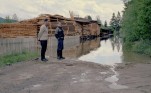 Flom ved Berntsesaga